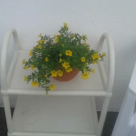 Vivenda Cinco Reis Angra do Heroísmo