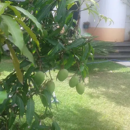 Holiday home Vivenda Cinco Reis *