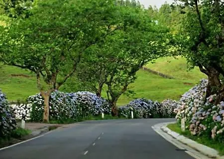 Feriehus Vivenda Cinco Reis Angra do Heroísmo