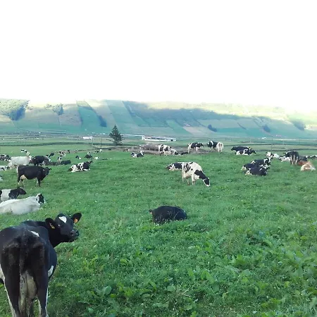 Vivenda Cinco Reis Casa de Férias