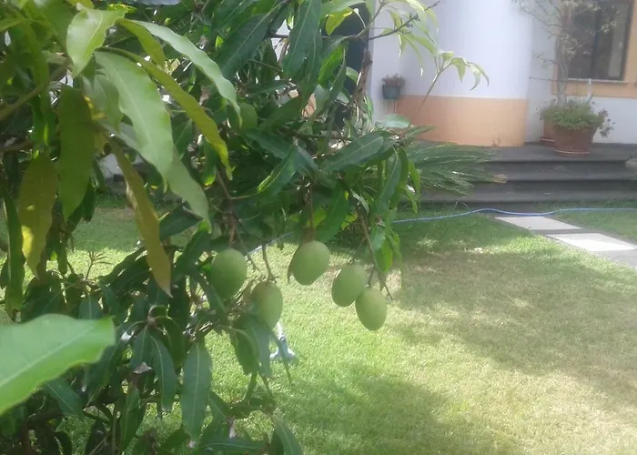 Nyaraló Vivenda Cinco Reis *